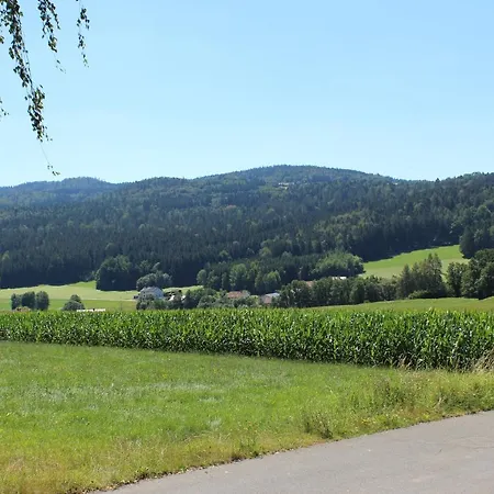 Weitblick *